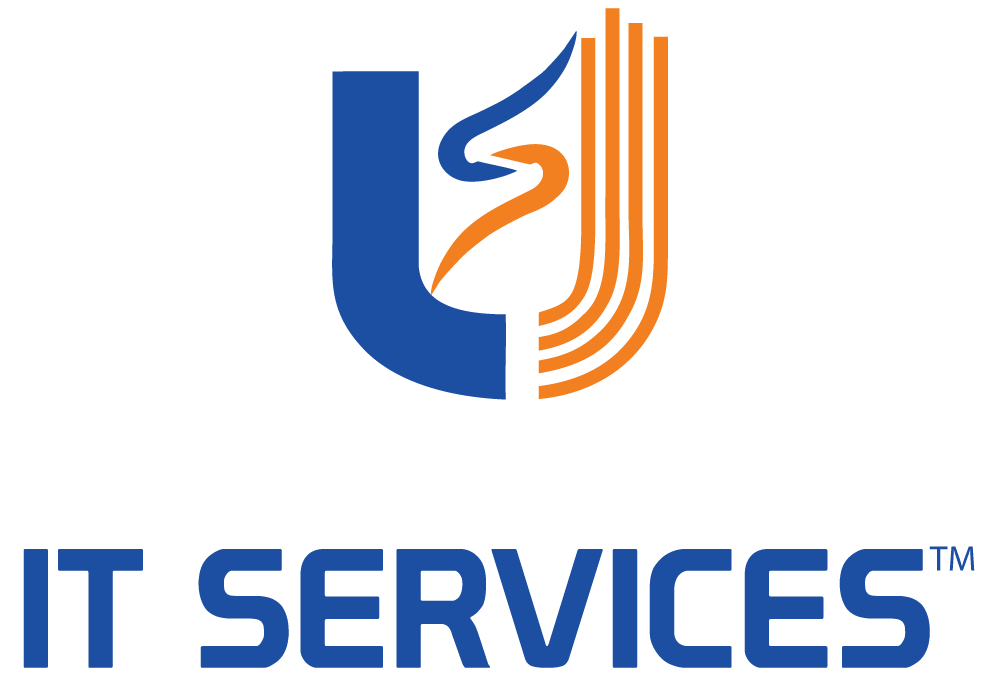 Logo Without background- USIT services